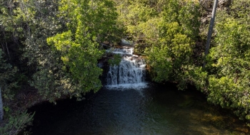 Cerrado em Pé: Goiás remunera produtores rurais que preservam bioma